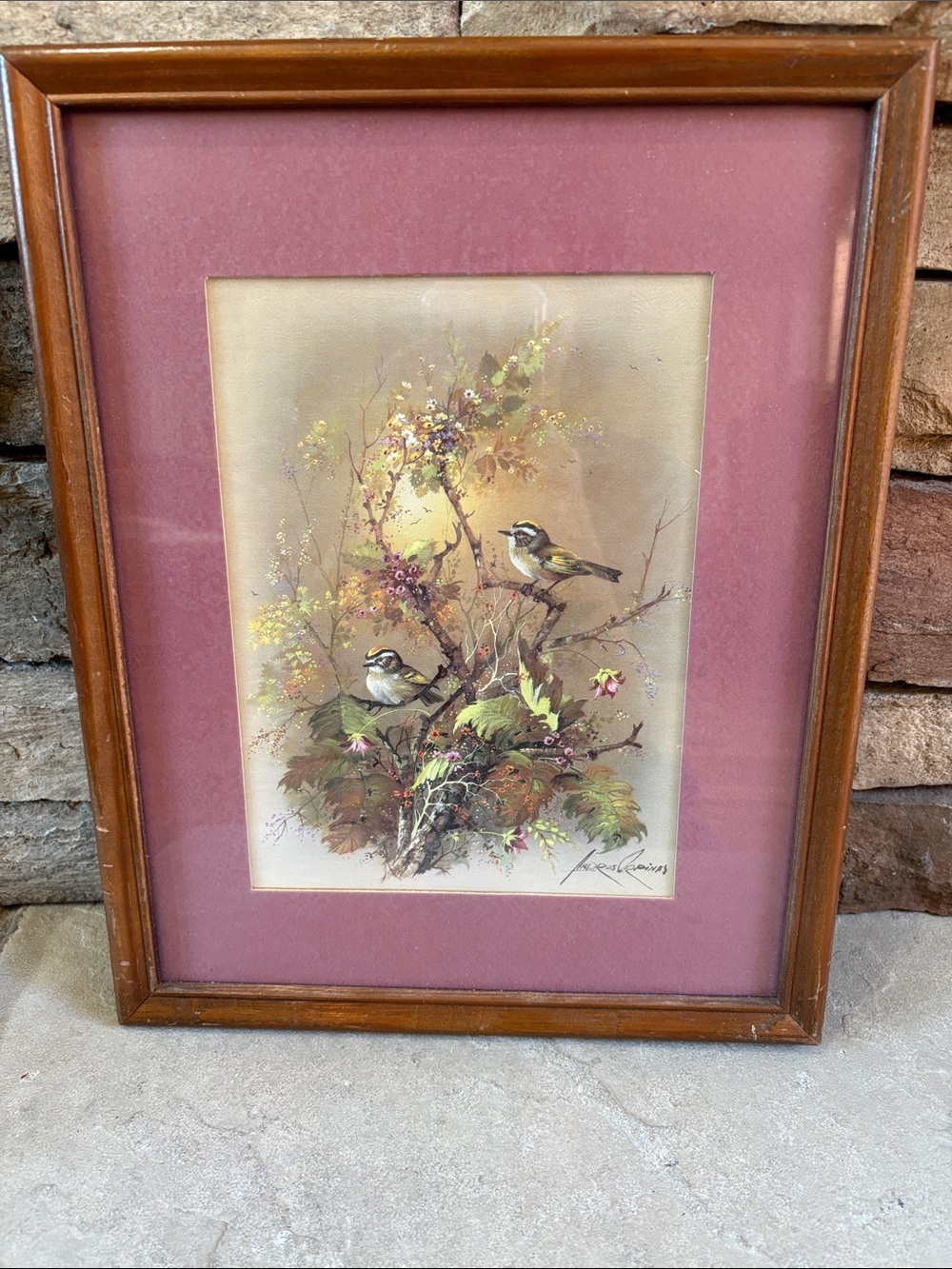 Vintage “Two Birds In The Bush” by Andres Orpinas framed picture